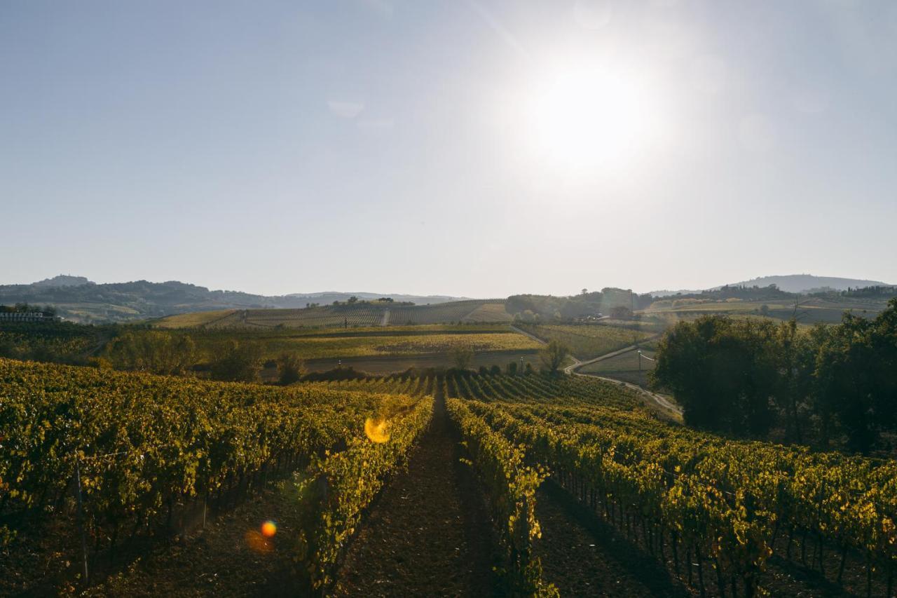 L'orto Di Panza Abbadia di Montepulciano